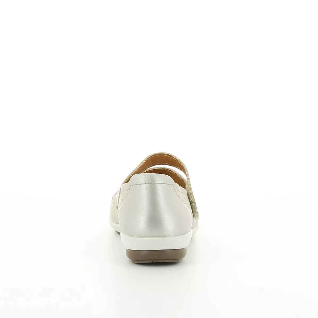 Image (3) de la chaussures Sens - Ballerines Taupe en Cuir