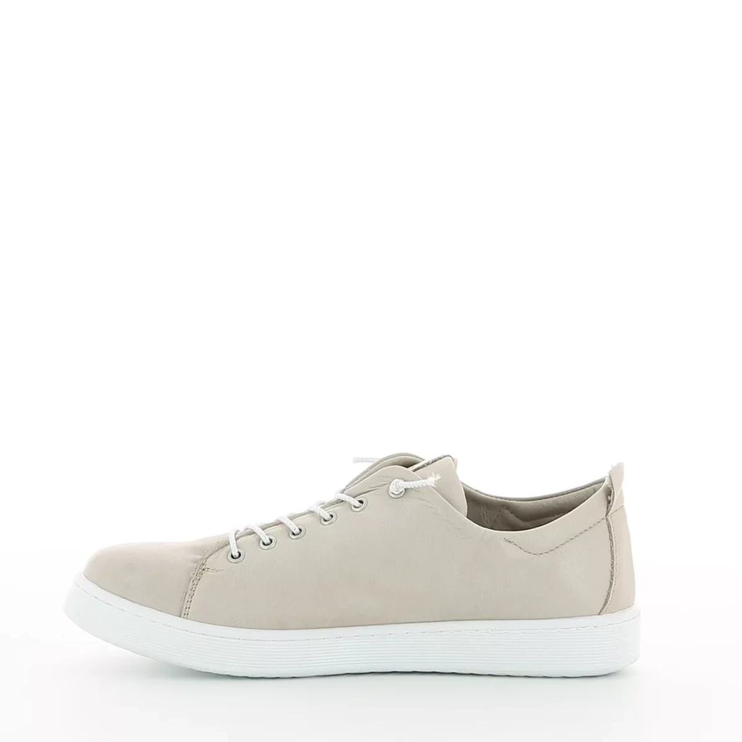 Image (4) de la chaussures Andrea Conti - Baskets Taupe en Cuir